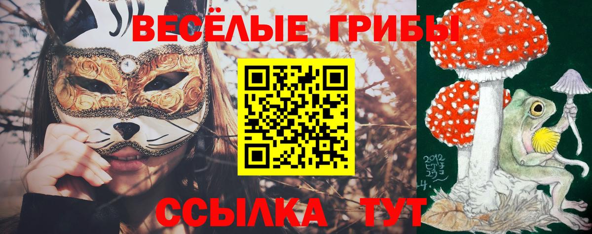 Галлюциногенные грибы Magic Shrooms Черкесск