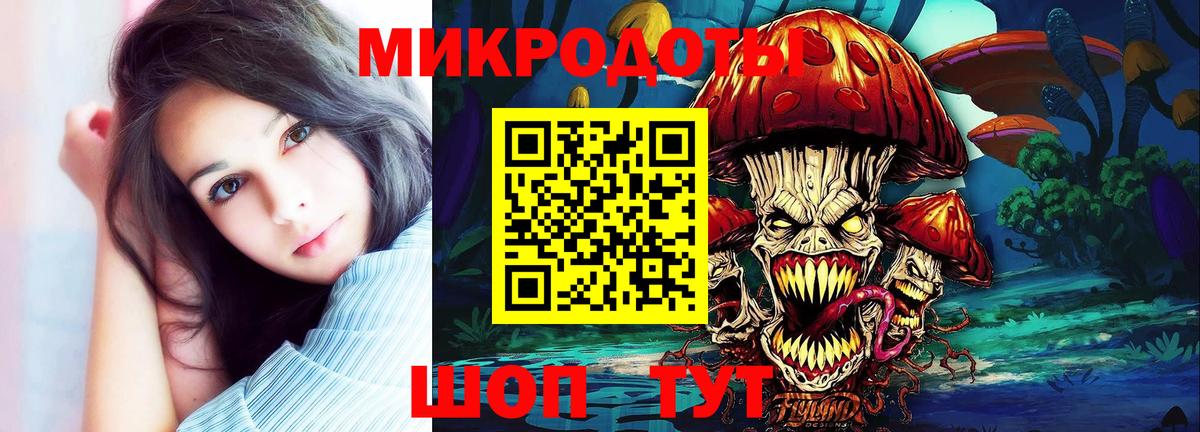 Черкесск  Галлюциногенные грибы Psilocybe  Вход с VPN 